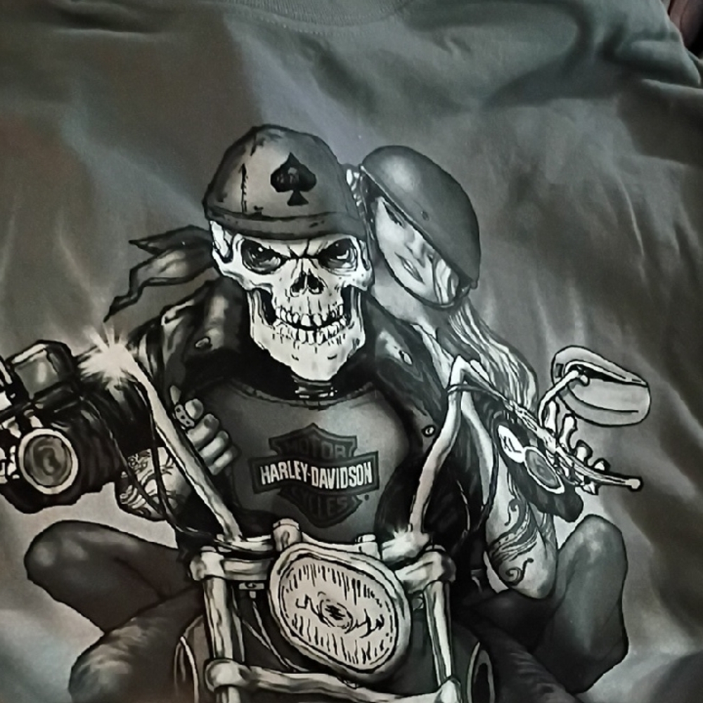 Harley-Davidson Skull Biker Tee in Gray and Black